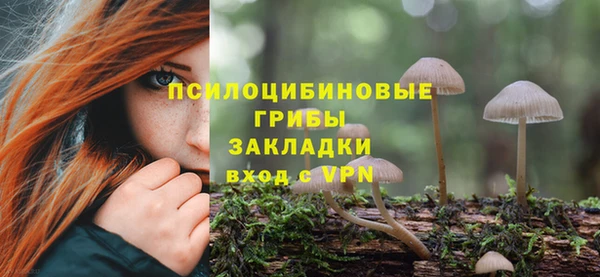а пвп мука Белокуриха